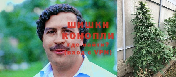 эйфоретик Каменногорск