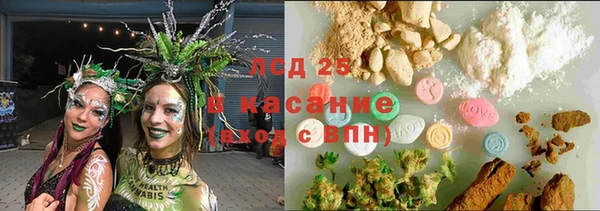 эйфоретик Каменногорск