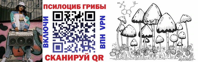 Псилоцибиновые грибы мицелий  Купить где  Магадан 