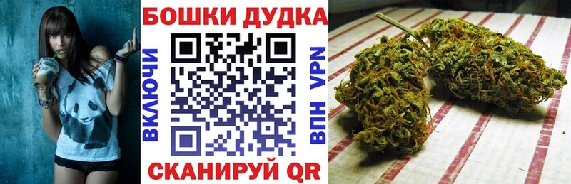 Купить закладки  Магадан  Канабис планчик 